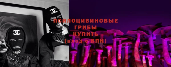 ГАЛЛЮЦИНОГЕННЫЕ ГРИБЫ Орехово-Зуево