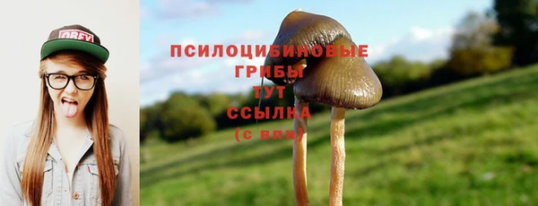 бошки Михайлов