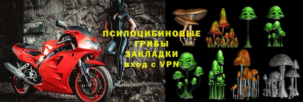 стафф Михайловск