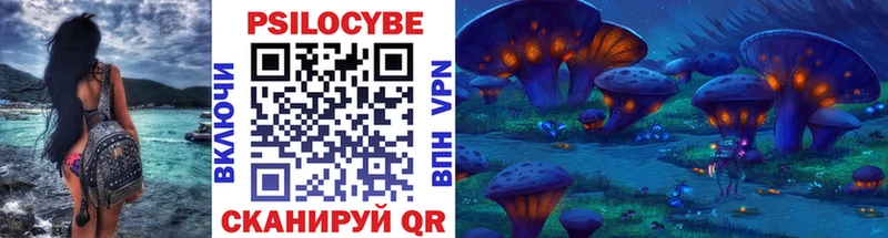 Галлюциногенные грибы Psilocybe Нелидово