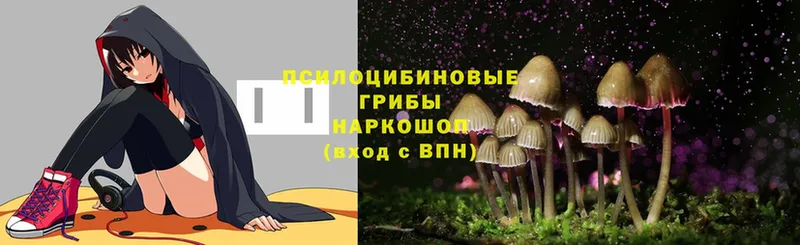 Псилоцибиновые грибы MAGIC MUSHROOMS  ОМГ ОМГ сайт  Нелидово  где купить наркоту 